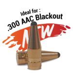 .30 (.308) – 110 gr