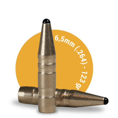 6.5 mm (.264) – 123 gr